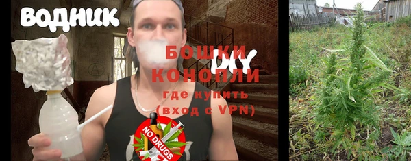 прущая мука Бородино